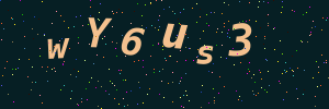 Validation image